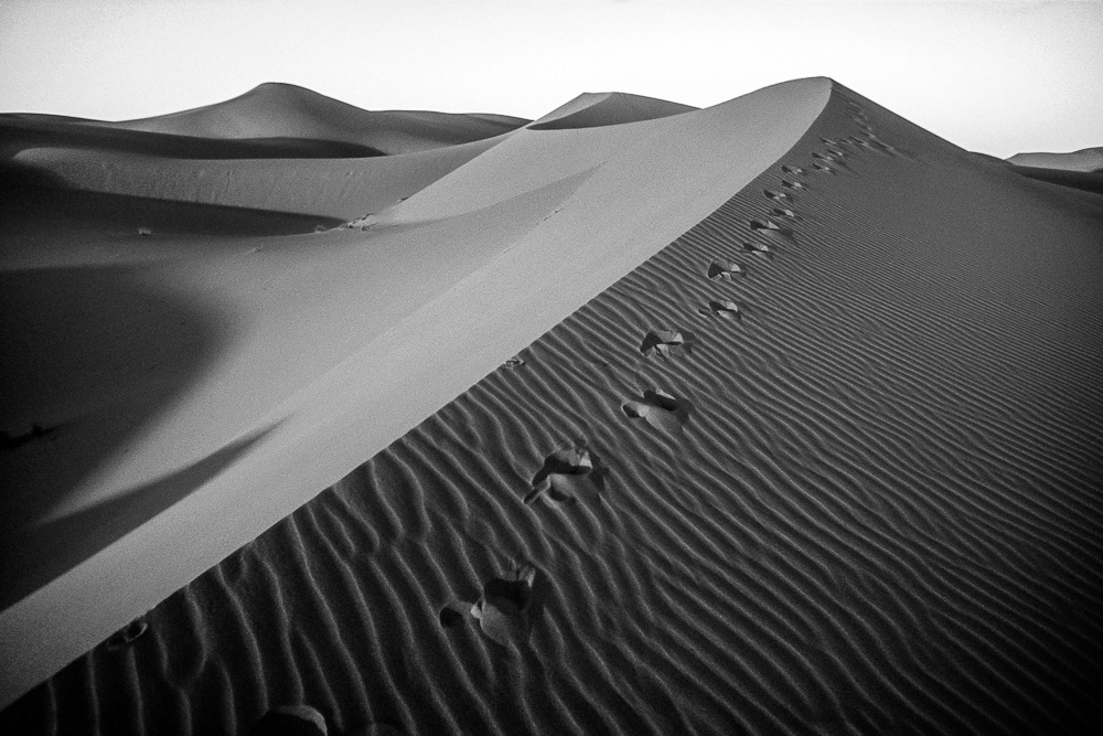 Dunes Medjehebat N.2