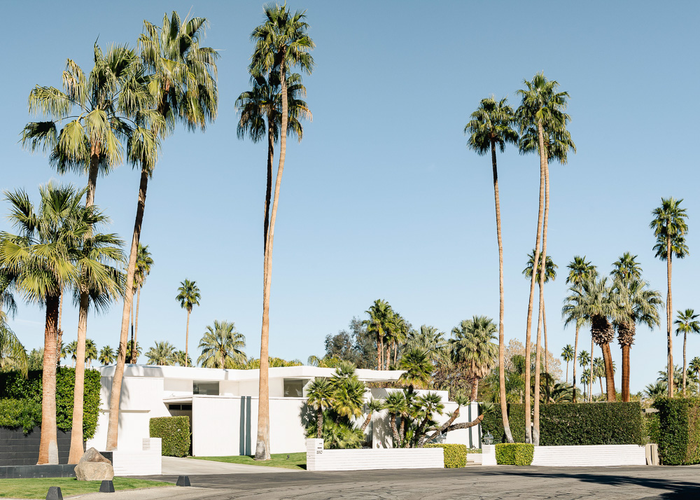 Palm Springs - Palm House