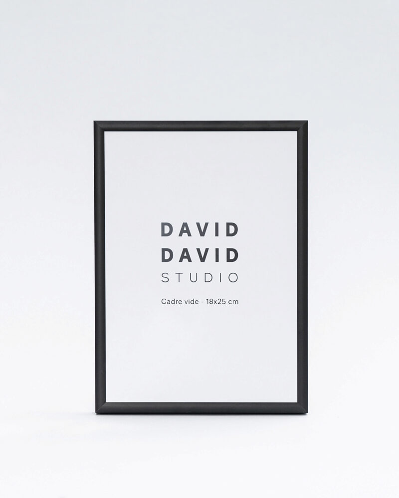 Poster palmier noir et blanc by David et David