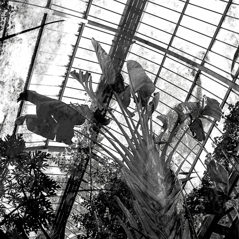 Green House 3