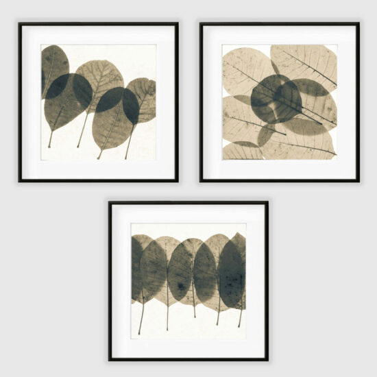 Affiches Encadrées HERBIER Triptyque