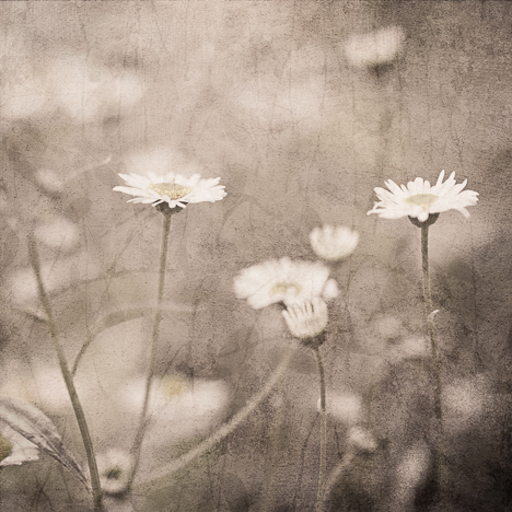 Printemps 1