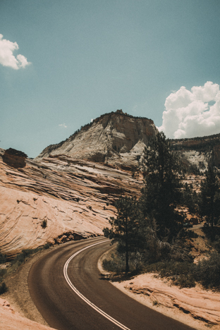 The Road, Zion National Park
