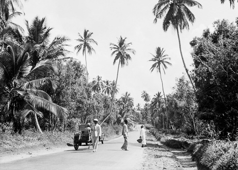 Zanzibar's road