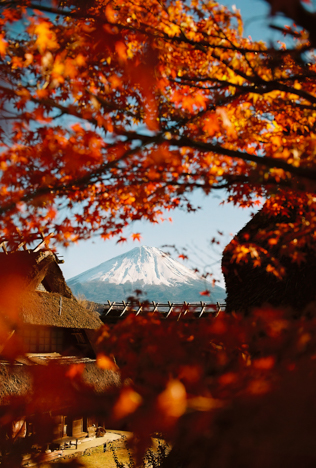 Autumn in Japan