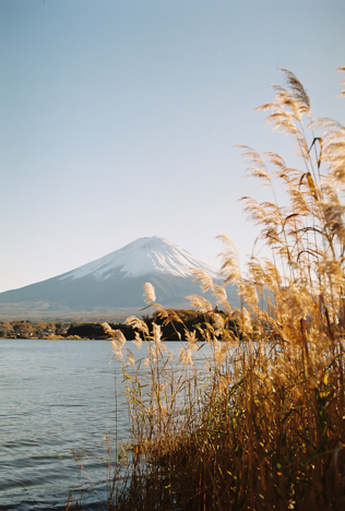 Fuji-san