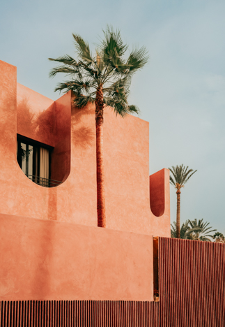 Unexpected Marrakech
