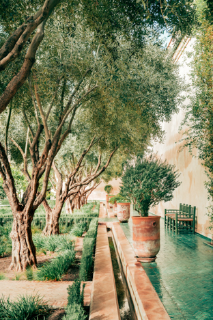 Emerald Garden