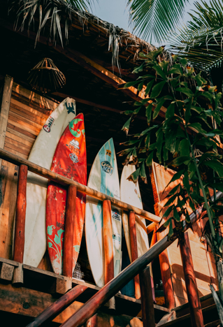 Surfboard in Jungle