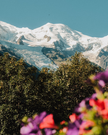 Mont Blanc Fleuri